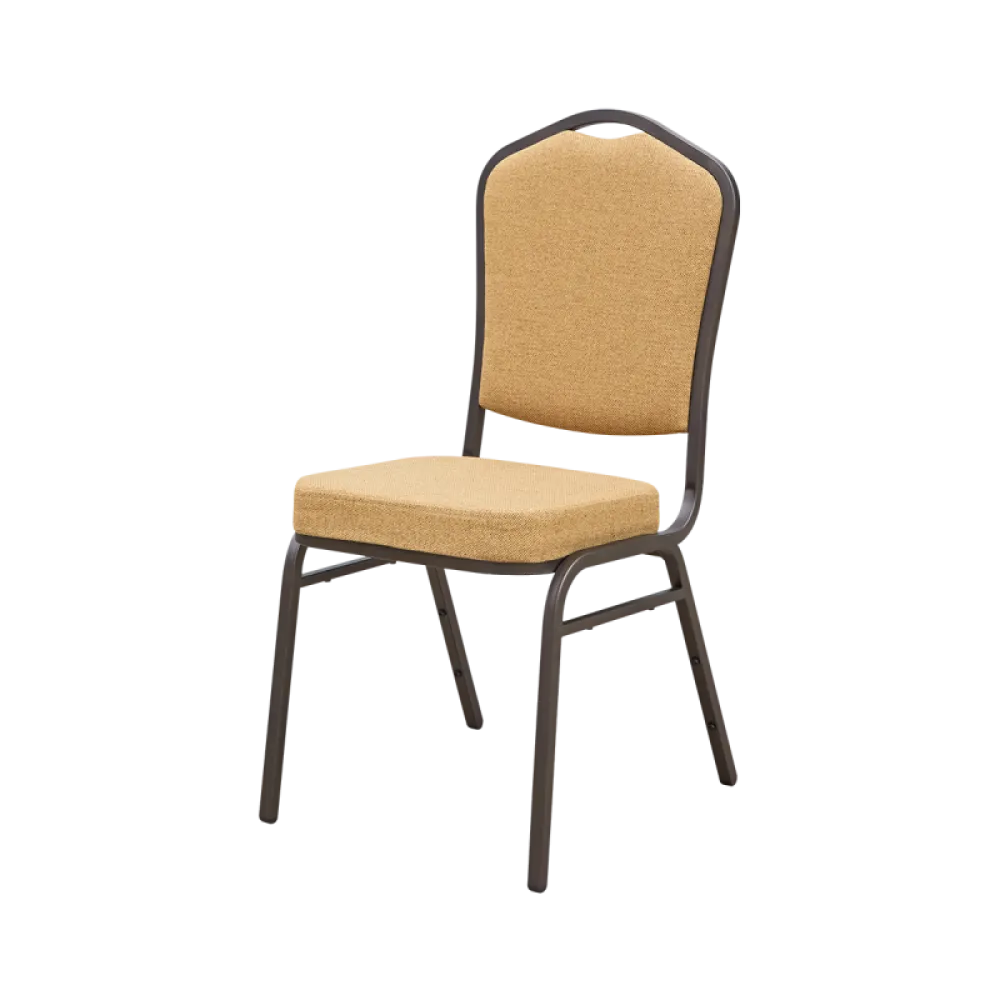 Banquet Chair ALICANTE MODERN AM550