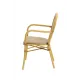 RICCARDO ARM 0377 Technorattan Café Chair