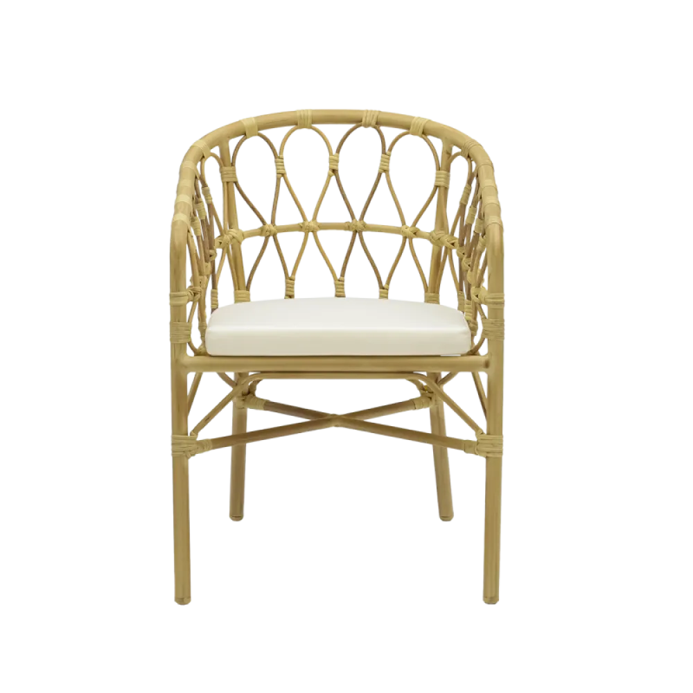 HAWAI Technorattan Chair with Cushion