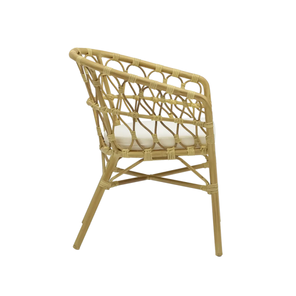 HAWAI Technorattan Chair with Cushion
